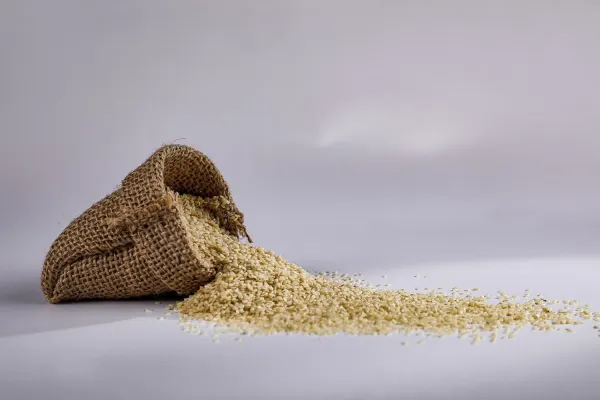 Pastalık Susam